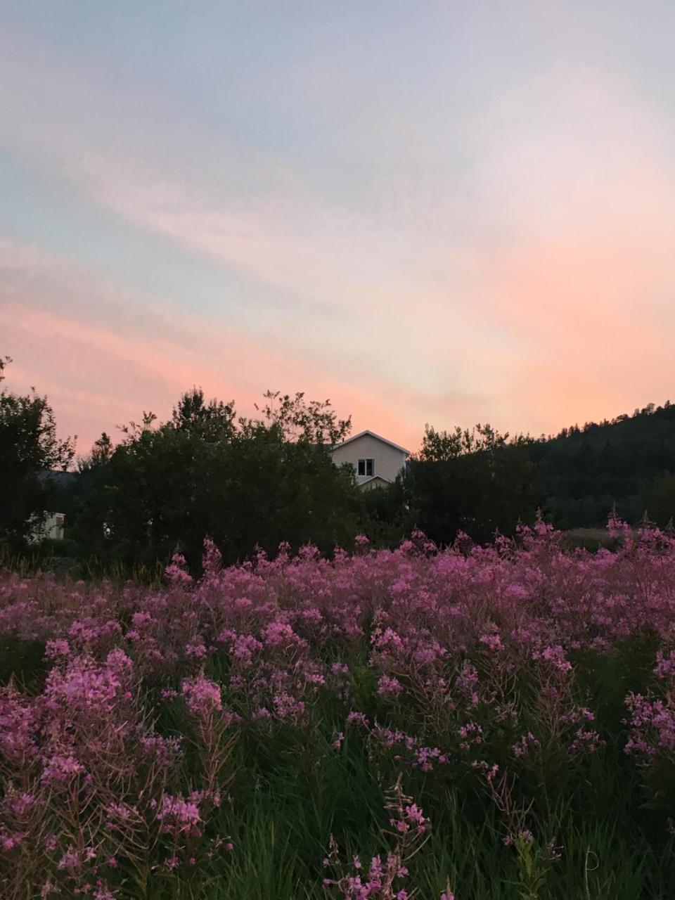 La Chouette Viree Bed & Breakfast Grandes-Bergeronnes Exterior foto